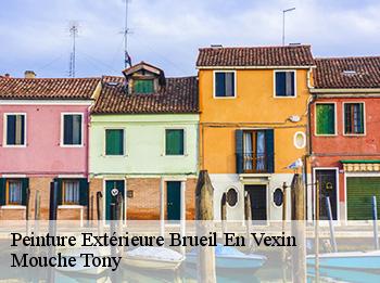 Peinture Extérieure 78440