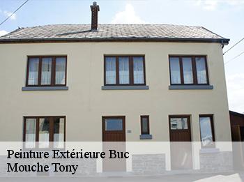 Peinture Extérieure  buc-78530 Mouche Tony