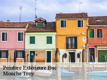 Peinture Extérieure  78530