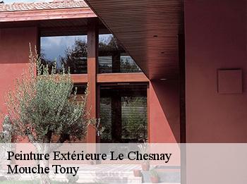 Peinture Extérieure