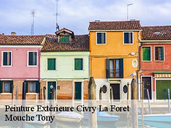 Peinture Extérieure  78910