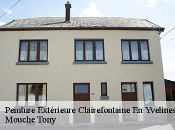 Peinture Extérieure  clairefontaine-en-yvelines-78120 Mouche Tony