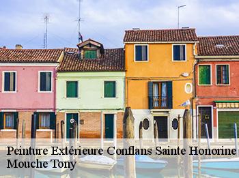 Peinture Extérieure 78700