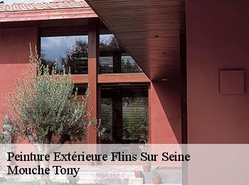 Peinture Extérieure