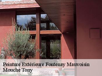 Peinture Extérieure