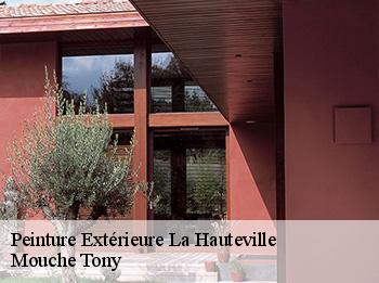 Peinture Extérieure