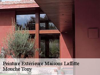 Peinture Extérieure