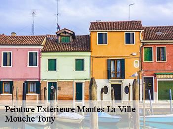 Peinture Extérieure  78200