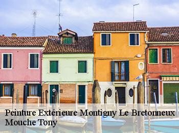 Peinture Extérieure  78180