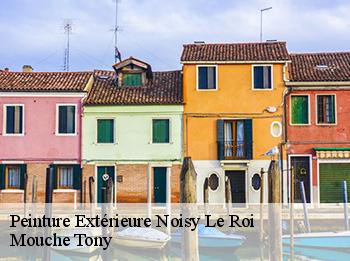 Peinture Extérieure  78590