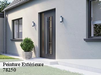 Peinture Extérieure