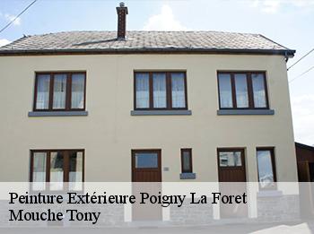 Peinture Extérieure poigny-la-foret-78125 Mouche Tony