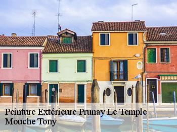 Peinture Extérieure  78910