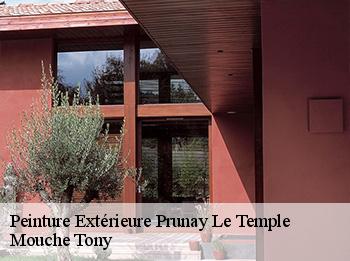 Peinture Extérieure