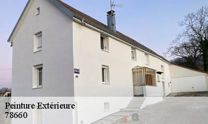 Peinture Extérieure 78660