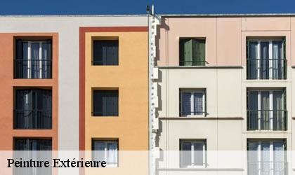 Peinture Extérieure