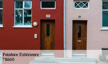 Peinture Extérieure