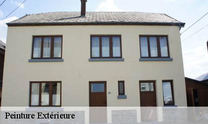 Peinture Extérieure 78660