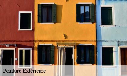 Peinture Extérieure