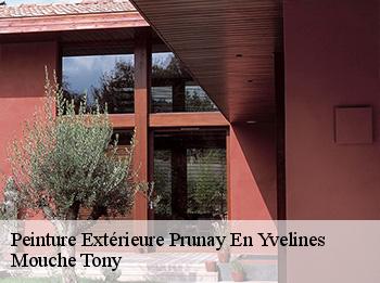 Peinture Extérieure