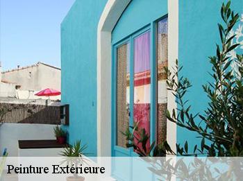 Peinture Extérieure