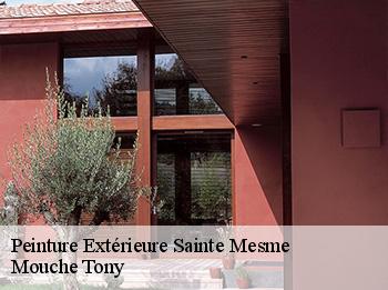 Peinture Extérieure