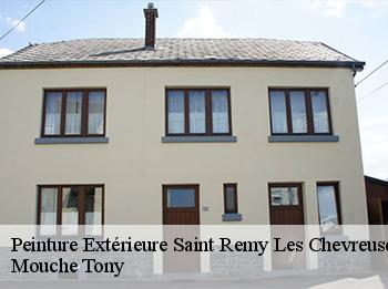 Peinture Extérieure  saint-remy-les-chevreuse-78470 Mouche Tony