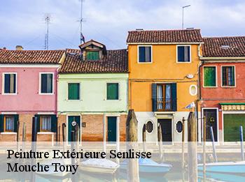 Peinture Extérieure  78720