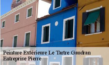 Peinture Extérieure le-tartre-gaudran-78113 Entreprise Pierre