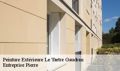 Peinture Extérieure 78113