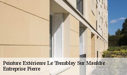 Peinture Extérieure  78490
