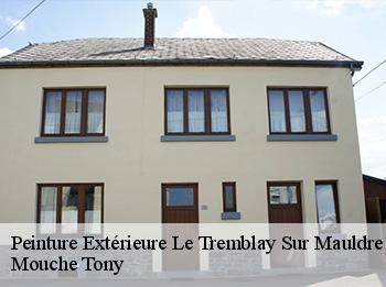 Peinture Extérieure  le-tremblay-sur-mauldre-78490 Mouche Tony