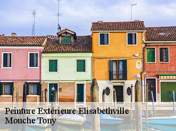 Peinture Extérieure  78410