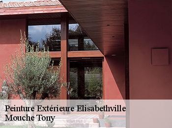 Peinture Extérieure