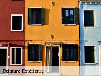 Peinture Extérieure  78690