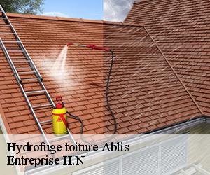 Hydrofuge toiture  ablis-78660 Entreprise H.N