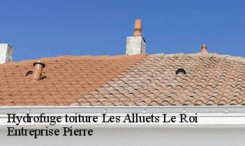 Hydrofuge toiture  les-alluets-le-roi-78580 Entreprise Pierre