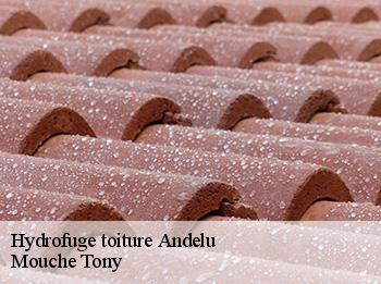 Hydrofuge toiture  78770