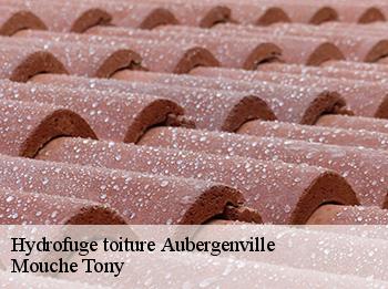 Hydrofuge toiture 78410