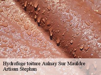 Hydrofuge toiture