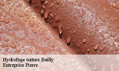 Hydrofuge toiture