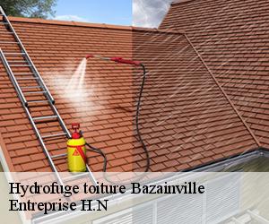 Hydrofuge toiture  bazainville-78550 Entreprise H.N