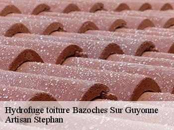 Hydrofuge toiture  78490