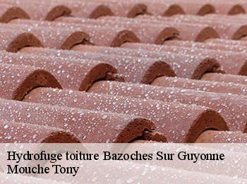 Hydrofuge toiture  78490
