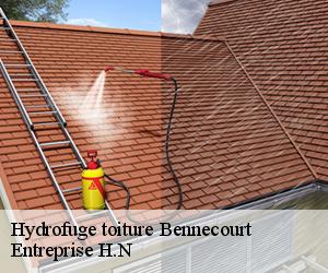 Hydrofuge toiture  bennecourt-78270 Entreprise H.N