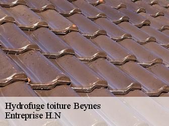 Hydrofuge toiture  78650