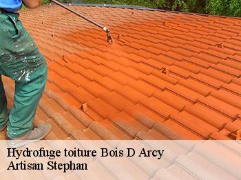 Hydrofuge toiture  bois-d-arcy-78390 Artisan Stephan