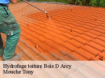 Hydrofuge toiture bois-d-arcy-78390 Mouche Tony