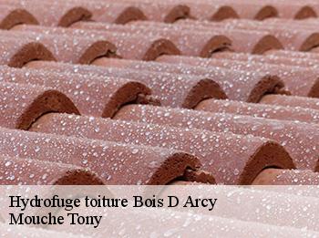 Hydrofuge toiture 78390