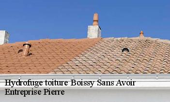 Hydrofuge toiture  boissy-sans-avoir-78490 Entreprise Pierre
